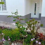 Διαμέρισμα Disability-friendly With Free Parking *