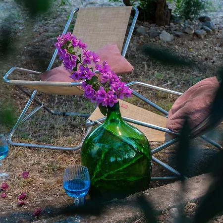 Appartement Disability-friendly With Free Parking *