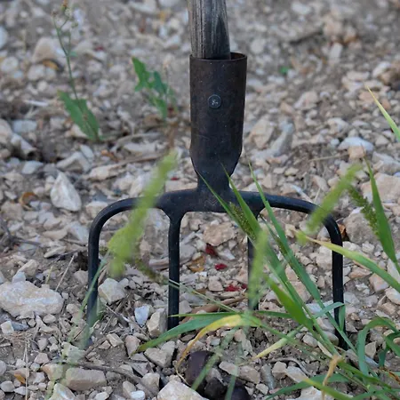 Disability-friendly With Free Parking Appartement