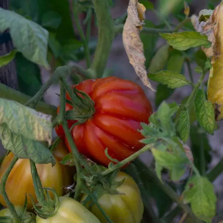 Appartement Disability-friendly With Free Parking