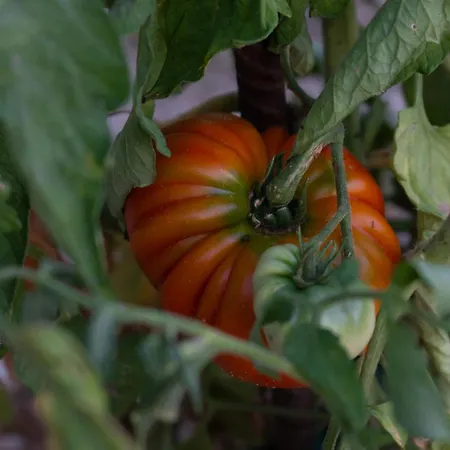 Disability-friendly With Free Parking Appartement *