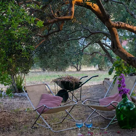 Appartement Disability-friendly With Free Parking Trogir