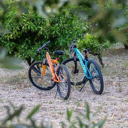 Appartement Disability-friendly With Free Parking