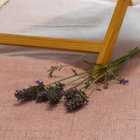 Disability-friendly With Free Parking Appartement