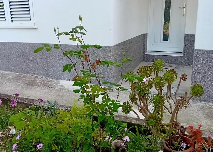 דירה Disability-friendly With Free Parking *