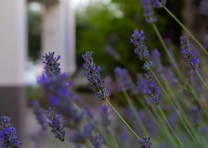 Disability-friendly With Free Parking דירה