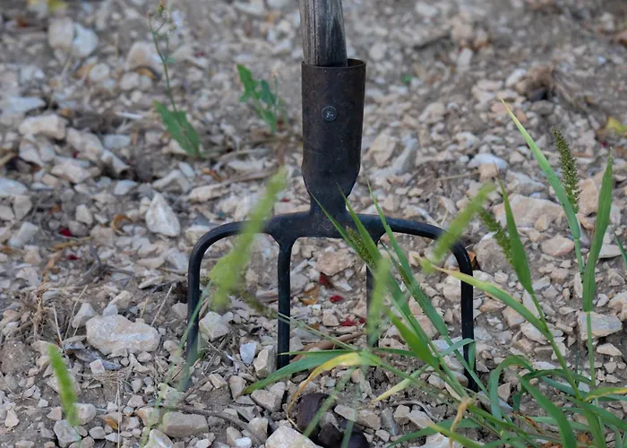 Disability-friendly With Free Parking דירה