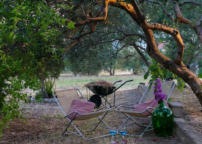 דירה Disability-friendly With Free Parking טרוגיר
