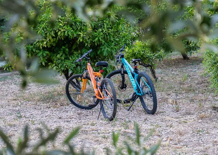 דירה Disability-friendly With Free Parking