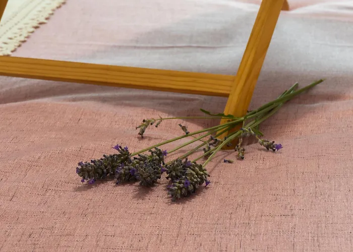 Disability-friendly With Free Parking דירה