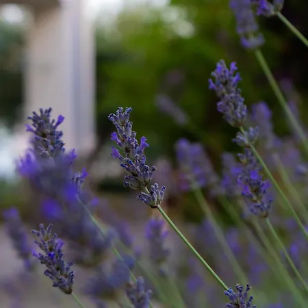 Disability-friendly With Free Parking Lejlighed