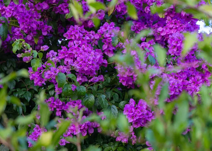 Disability-friendly With Free Parking 公寓 *